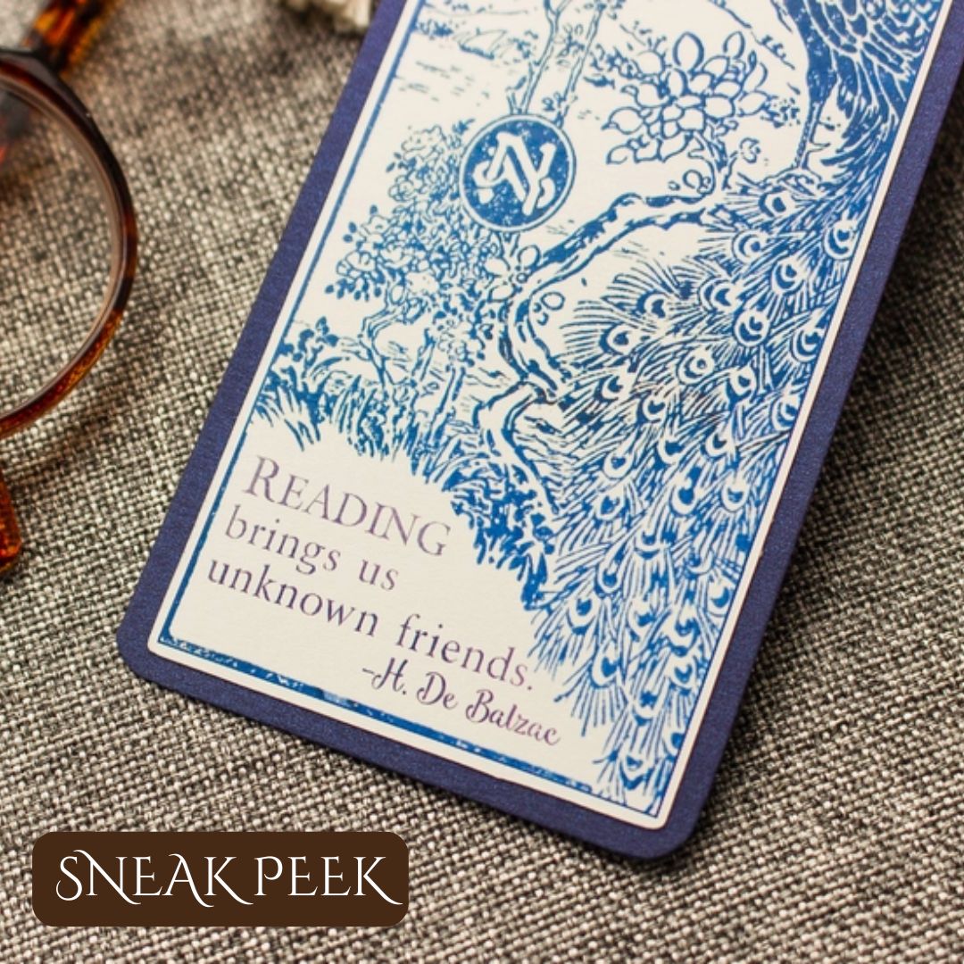 Historical Cozy Mystery 1-time Book Box