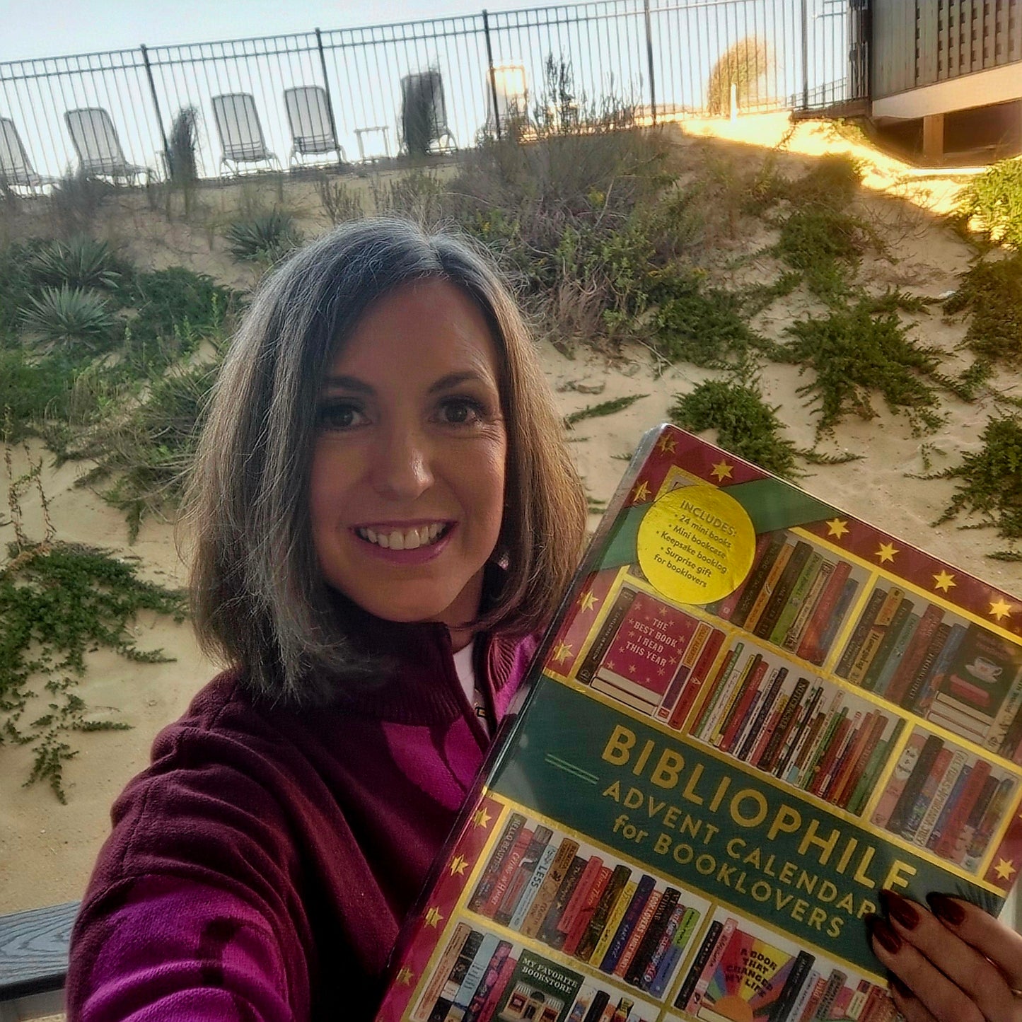 Bibliophile's Advent Calendar