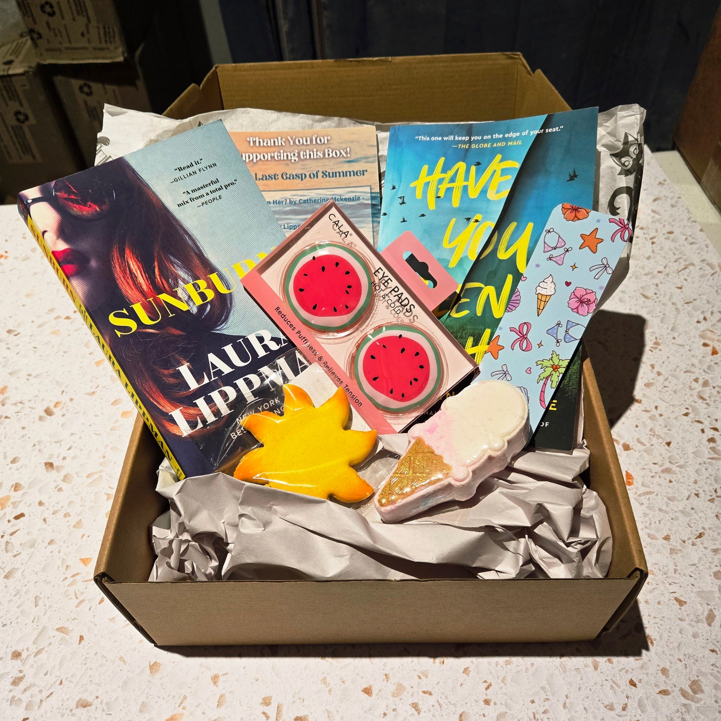 "Last Gasp of Summer" Mystery/Thriller One-Time Book Box